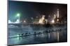 Ducks Silhouetted At Night On Heroes Square, Budapest, July 2009-Milan Radisics-Mounted Photographic Print