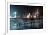 Ducks Silhouetted At Night On Heroes Square, Budapest, July 2009-Milan Radisics-Framed Photographic Print