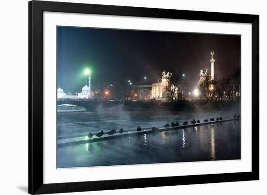 Ducks Silhouetted At Night On Heroes Square, Budapest, July 2009-Milan Radisics-Framed Photographic Print