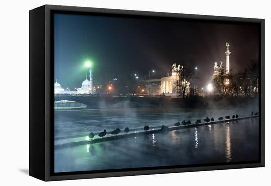 Ducks Silhouetted At Night On Heroes Square, Budapest, July 2009-Milan Radisics-Framed Stretched Canvas