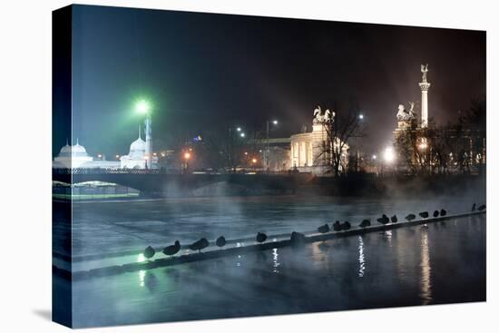 Ducks Silhouetted At Night On Heroes Square, Budapest, July 2009-Milan Radisics-Stretched Canvas