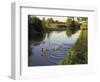 Ducks Swimming in the Worcester and Birmingham Canal, Astwood Locks, Hanbury, Midlands-David Hughes-Framed Photographic Print