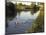 Ducks Swimming in the Worcester and Birmingham Canal, Astwood Locks, Hanbury, Midlands-David Hughes-Mounted Photographic Print