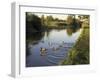 Ducks Swimming in the Worcester and Birmingham Canal, Astwood Locks, Hanbury, Midlands-David Hughes-Framed Photographic Print