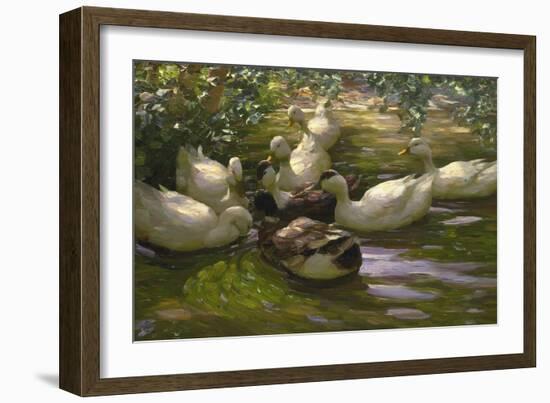 Ducks under Birch Twigs-Alexander Koester-Framed Giclee Print