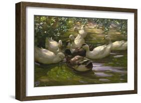 Ducks under Birch Twigs-Alexander Koester-Framed Giclee Print