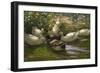 Ducks under Birch Twigs-Alexander Koester-Framed Giclee Print