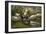 Ducks under Birch Twigs-Alexander Koester-Framed Giclee Print