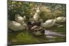 Ducks under Birch Twigs-Alexander Koester-Mounted Giclee Print