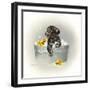 Ducks Unlimited-Peggy Harris-Framed Premium Giclee Print