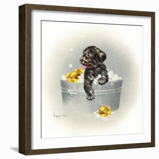 Ducks Unlimited-Peggy Harris-Framed Giclee Print