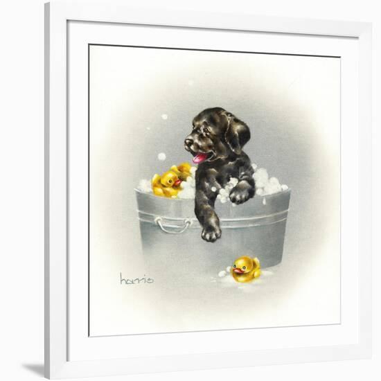 Ducks Unlimited-Peggy Harris-Framed Giclee Print