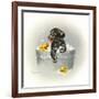 Ducks Unlimited-Peggy Harris-Framed Giclee Print