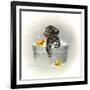 Ducks Unlimited-Peggy Harris-Framed Giclee Print