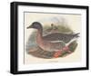 Ducks-null-Framed Art Print