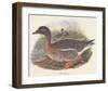 Ducks-null-Framed Art Print