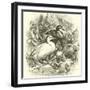 Ducks-null-Framed Giclee Print