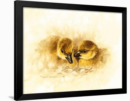 Ducks-null-Framed Giclee Print