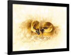 Ducks-null-Framed Giclee Print