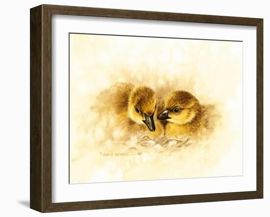 Ducks-null-Framed Giclee Print