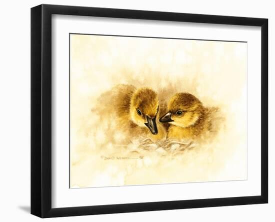 Ducks-null-Framed Giclee Print