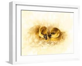 Ducks-null-Framed Giclee Print