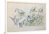 Ducks-Alfred Sisley-Framed Giclee Print