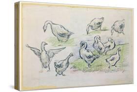 Ducks-Alfred Sisley-Stretched Canvas