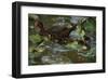 Ducky Swim-Steve Hunziker-Framed Art Print