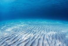 Underwater Shoot of an Infinite Sandy Sea Bottom with Clear Blue Water and Waves on its Surface-Dudarev Mikhail-Photographic Print