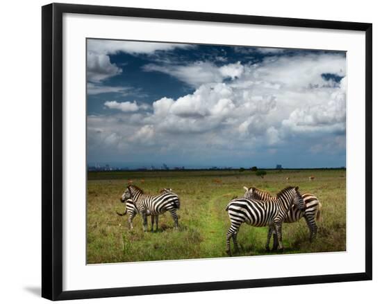 Premium Photographic Print, , large