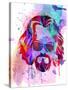 Dude Watercolor-Anna Malkin-Stretched Canvas