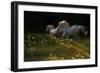 Duel-Milan Malovrh-Framed Giclee Print