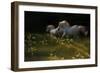 Duel-Milan Malovrh-Framed Giclee Print