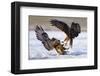 Duel-null-Framed Art Print