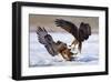 Duel-null-Framed Art Print