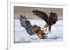 Duel-null-Framed Premium Giclee Print