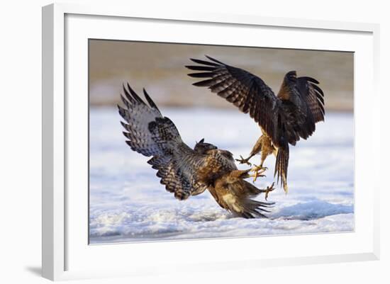 Duel-Ivan Kluciar-Framed Photographic Print