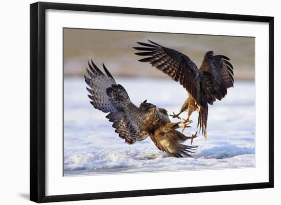 Duel-Ivan Kluciar-Framed Photographic Print