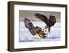 Duel-Ivan Kluciar-Framed Photographic Print