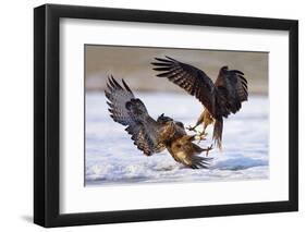 Duel-Ivan Kluciar-Framed Photographic Print