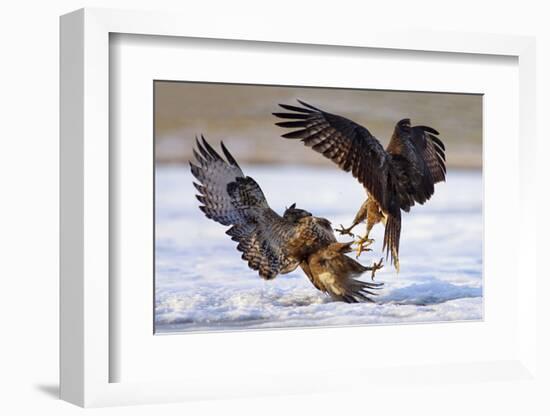 Duel-Ivan Kluciar-Framed Photographic Print