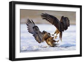 Duel-Ivan Kluciar-Framed Photographic Print