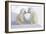 Dueling Polar Bear Cubs-Howard Ruby-Framed Photographic Print