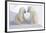 Dueling Polar Bear Cubs-Howard Ruby-Framed Photographic Print