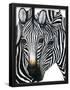 Essential Black