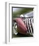 Duesenberg in Motion-Richard James-Framed Premium Giclee Print