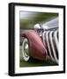 Duesenberg in Motion-Richard James-Framed Premium Giclee Print