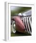 Duesenberg in Motion-Richard James-Framed Premium Giclee Print