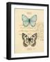 Duet Papillon-Chad Barrett-Framed Art Print